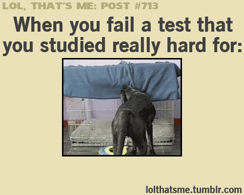 53b048cb0b7f30cfac7be1c1bb3ba701.gif