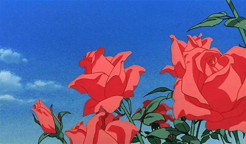 6aa39fb791aa847139c9df584ff5f530.gif