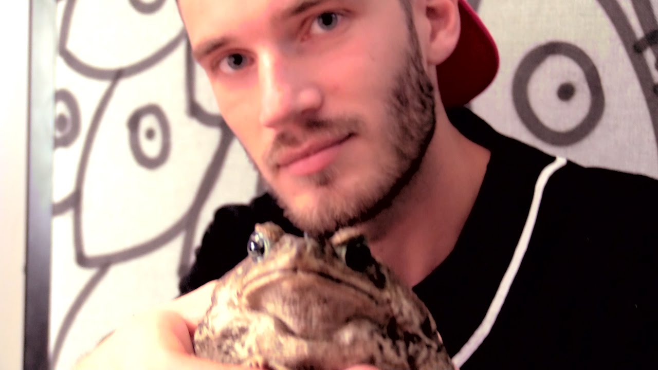 maxresdefault.jpg